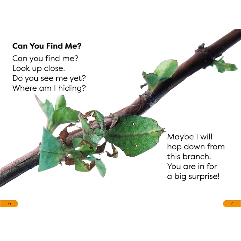 DK Super Readers Level 1 Bugs Hide and Seek