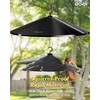 iBorn Bird Feeder Squirrel Guard, Chew-Proof PC Oversize Squirrel Baffle