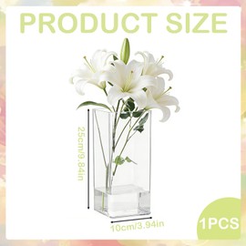 Acrylic Flower Vase, 25x10cm Square Minimalist Vase, Shatterproof Plastic Vases, Perfect for Home, Office, Wedding Decor for Families（Clear）