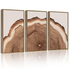 PHOPAGO Vintage Tree Rings Wood Framed Wall Art Large 16x24in Modern Retro Stump Wall Decor Nature Farmhouse Rustic Art Prints Home Decor - Natural Framed