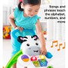 Juguete Didáctico Fisher-price Aprende Conmigo Zebra Walker
