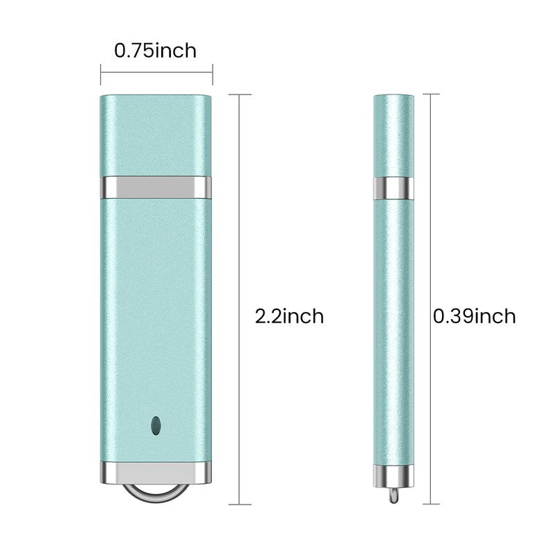 RAOYI 5 Pack 2GB USB Flash Drive Bulk Pack Memory