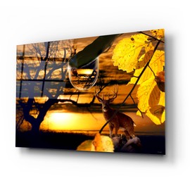 Epic Art 'Dewdrop Sunset' by Gordon Semmens Acrylic Glass Wall Art, 24" x 16"