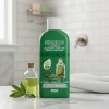 Shampoo Aceite Árbol De Te / Tea Tree Orgánico 500ml
