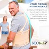 Neotech Care Back Support Belt with Braces for Work -