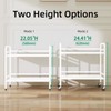 HDANI 2 Tier Under Desk Printer Stand with Storage,Microwave Storage