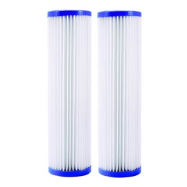 Watts Premier 500141 Sediment Filters, 2-Pack