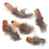 Kingsie 180 Pieces Natural Feather Set of 6 Feathers Feathers