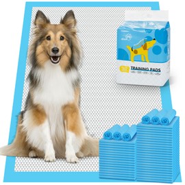 aiimll XXL Pee Pads for Dogs Extra Large, 30”x36“, 40 Count , 6-Layers Leak-Proof Quick-Dry Dog Pee Pads XXL, Charcoal Thick Puppy Pads Heavy Duty Absorbent Disposable Pet Dog Potty Training Pee Pads
