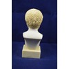 Aristotle Sculpture Aristotle Bust Ancient Greek Philosopher Alabaster Statue
