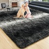 Noahas Fluffy 4x6 Area Rugs for Bedroom Living Room,Black and