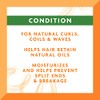Cantu Sulfate-Free Hydrating Cream Conditioner with Shea Butter for Natural
