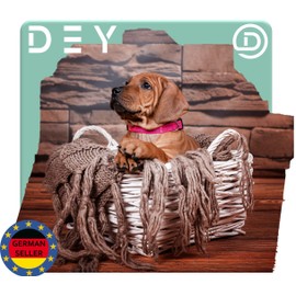 DEY - Premium Nylon Dog Collar, Reflective, Adjustable, for Small and Large Dogs, Many Colours and Sizes, Dog Collar, Cat Collar, Puppy Collar, Blue, S