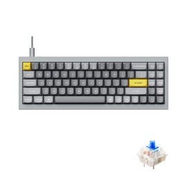 Keychron Q7 70% Layout Hot-Swappable RGB Wired Custom Mechanical Keyboard Compatible with Mac Windows Linux, QMK/VIA Programmable Macro Gateron G Pro Blue Switch Double Gasket Kit Full Aluminum-Grey