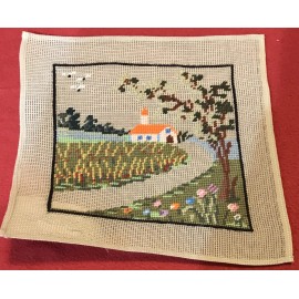 Mandicor Madincor #372 11 X 11” Preworked Needlepoint Canvas Madeira