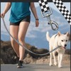 BSDUUIF Dog Leash for Large Medium and Small Dogs, Cute
