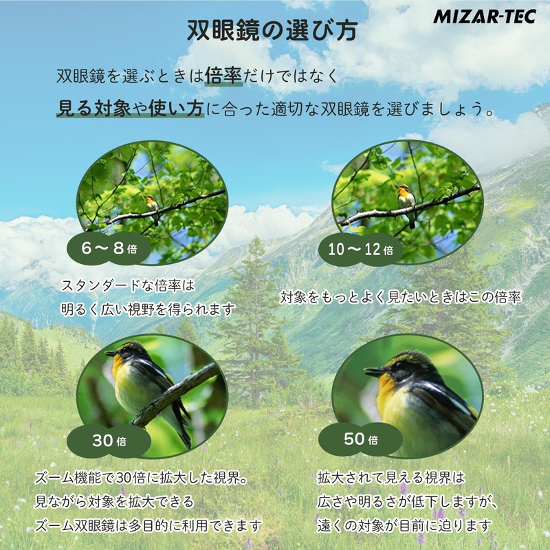 MIZAR-TEC Compact Binoculars, 4.5x Magnification, For Live Games, Sports, Travel,