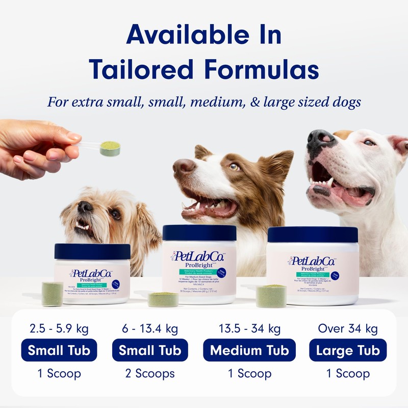 PetLab Co. PetLab Co. ProBright Dental Powder - Dog Breath