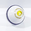 Omtex Cricket ProSoft Ball White