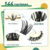 Extensiones De Pestañas Kit 144pcs Mixta Gruesa Chloe Laurel Espesor
