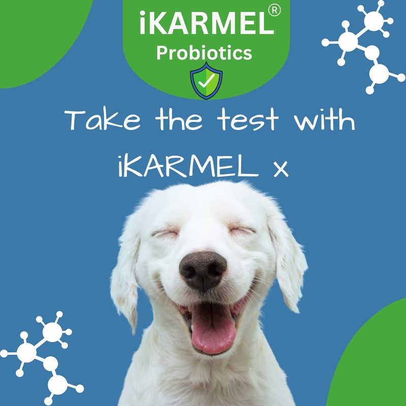 Doggy Dailies Probiotics for Dogs - Canine Supplements for Digestive