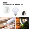 ShiawaseforU Reptile Light, UVA, Daytime Spotlamp, Amphibian Lighting, Natural Sunlight,
