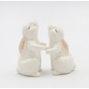 Fine Porcelain Spring Easter Hugging Bunny Rabbit Salt & Pepper