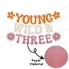 Young Wild & Three Banner - Three Groovy Birthday Decor,