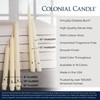 Colonial Candle Unscented Taper Candle, Classic Collection, Evergreen, 10 In,