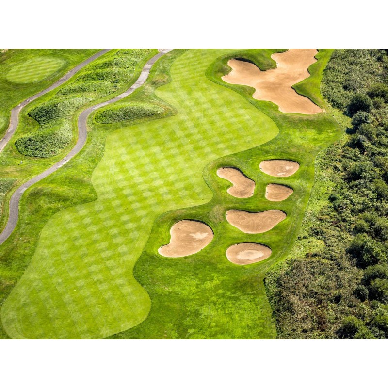 Evergreen Farm and Garden Diamond Pro Green Divot Sand -