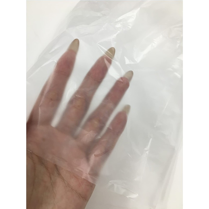 Japax H-01 Storage Bags, Translucent, Width 7.1 x Height 9.8