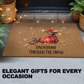 huester Dachshund Christmas Welcome Door Mat, Winter Christmas Dachshund Through the Snow Decorative Home Indoor Outdoor Porch Front Door Entrance Outside Welcome Doormat, Weiner Dog Gifts, 17x30 Inch