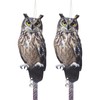 OffiCreative 2Pack Reflective Fake Owls Hanging Decoration Garden Owls Scarer