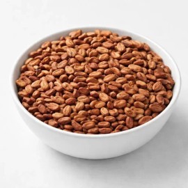 6 Kilos De Cacao Seco Grano Agroecologico Comalcalco Tabasco