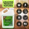 Eco-Poly Polyurethane Sealer — Non-Toxic, Low Odor, Quick-Dry Water Based