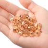 VZZNN 120 Pcs Tiny Capybara Figures for Miniature Animal Desktop