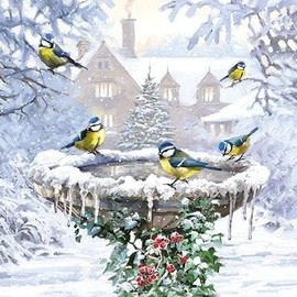 The Almanac Gallery Box of 20 Artistic Charity Christmas Cards - 'Winter Birdbath and Winter Feeder' - Lovely Artistic Designs with British Birds - 20 Cards, 10 Each of 2 Designs