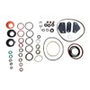 Roosa Master / Stanadyne Diesel Injection Pump seal kit 24370