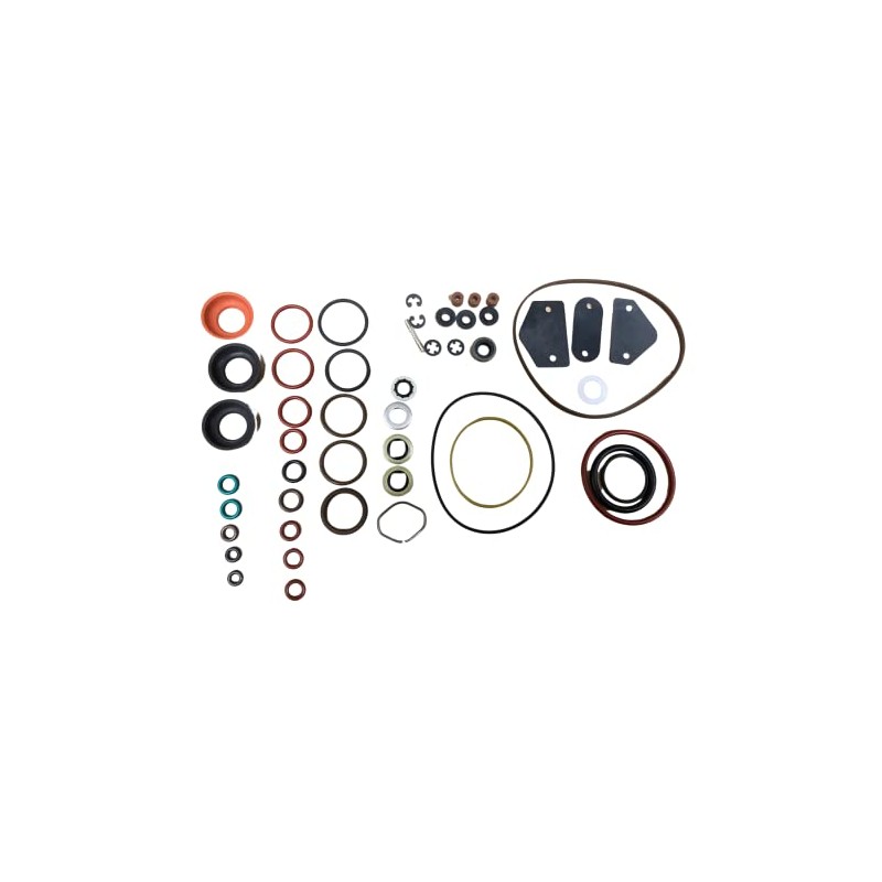 Roosa Master / Stanadyne Diesel Injection Pump seal kit 24370
