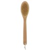Bath Body Brush Long Handle Wooden Shower Brush with Natural