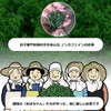 Japanese Mulberry Tea Sanuki Tea Brown Rice Flavor (Tea Bag),