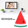 Cartoon U Disk PVC Small USB Watermelon Pattern Flash Pen
