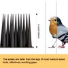 OFFO Bird Spikes Pigeon Outdoor Spikes for Cat Keep Birds