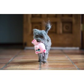 Multipet 43236-1 Knobby Noggins Pig Dog Toy