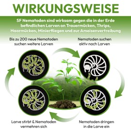 SF Nematodes for Combating Fungus Gnats, Thrips and Other Pests Effective Biological Plant Protection with Nematodes (SF Nematodes, 25, Mio)
