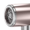 Negative Ion Hair Dryer High Power Blue Light Caring Quiet