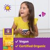 Annie's Vegan Mac and Cheddar Flavor Pasta and Sauce, Organic,