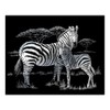 Silver Foil Engraving Art Kit 8"X10"-Zebras