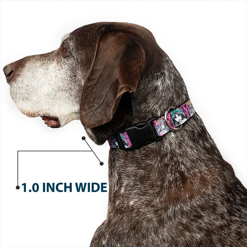 Buckle-Down PC-WDY277-M Dog Collar Plastic Clip Buckle, 1" x11-17, Pink/Gray