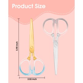 Honagu Scissors, Clear Acrylic Stainless Steel Scissors, Office Professional Shears for Home School Office DIY Craft Sewing Fabric Cutting General Use, 2PCS (Sky blue+Grey)